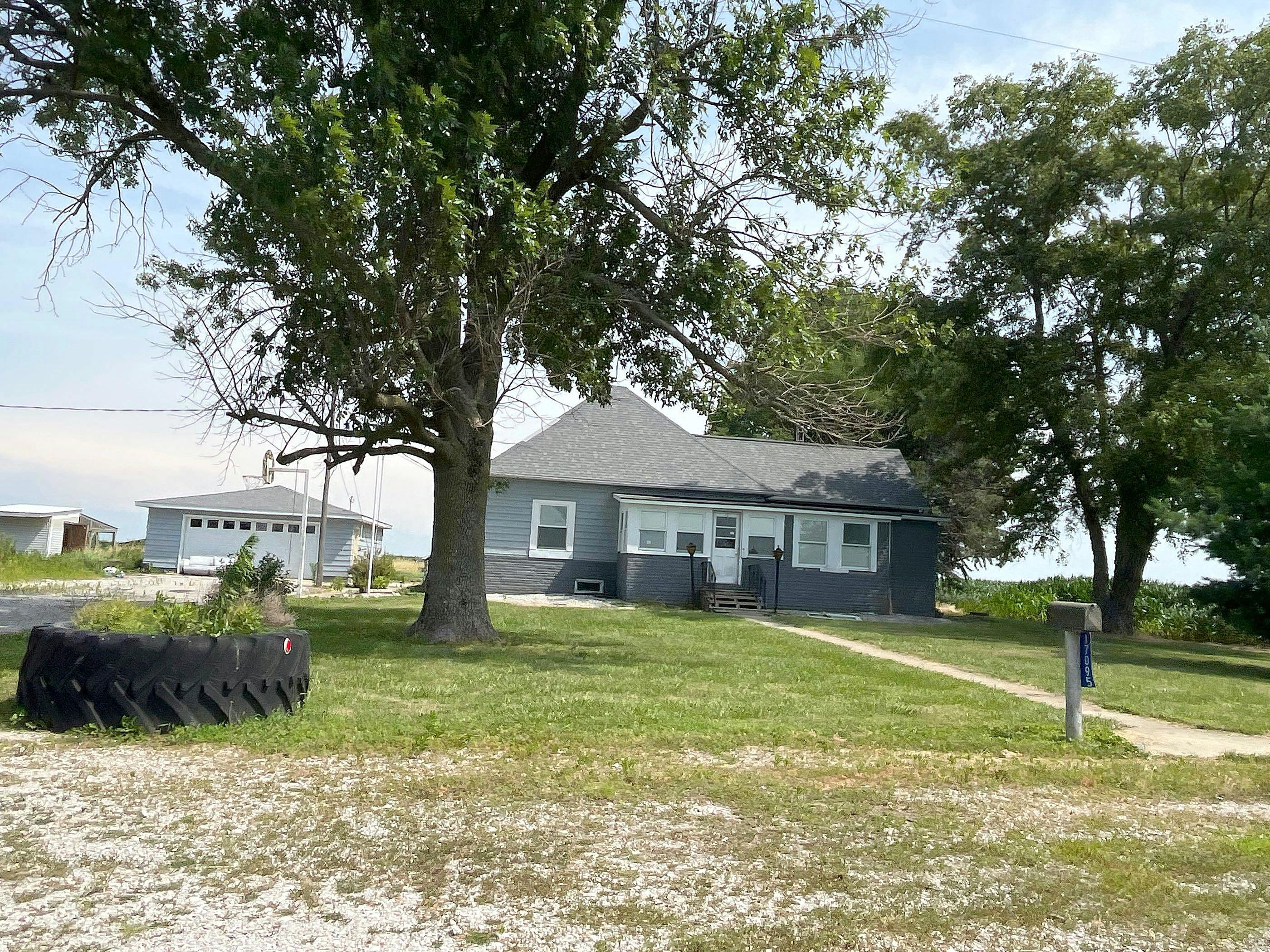 Main image