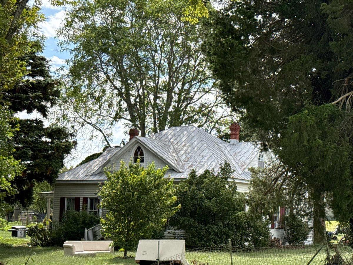 Main image