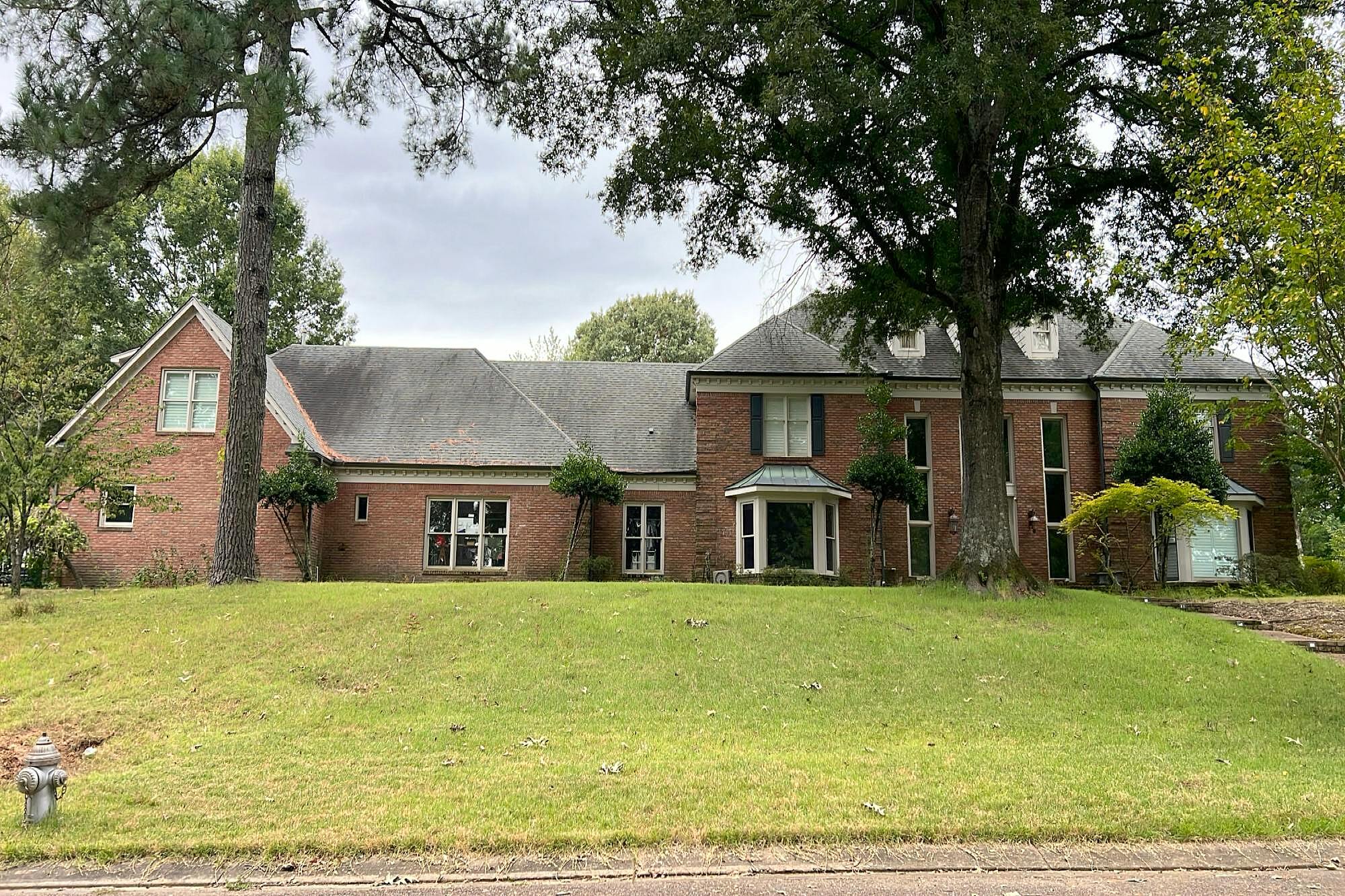 Main image