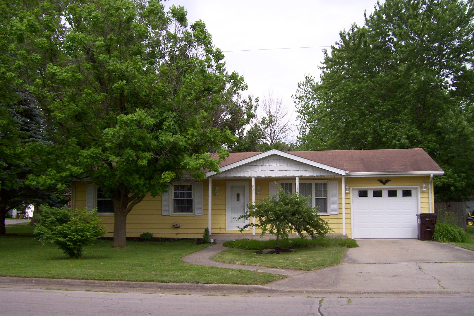 Main image