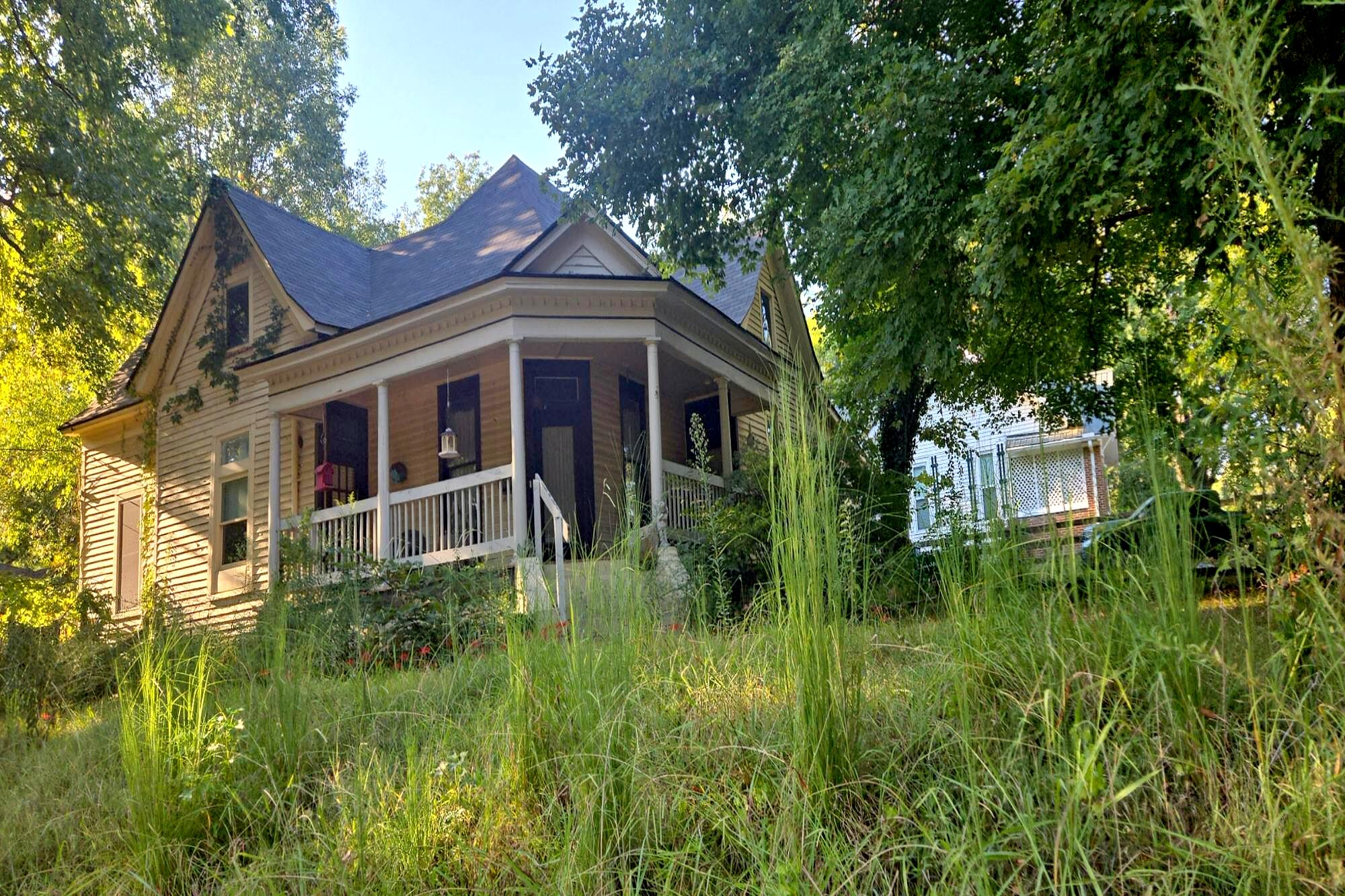 Main image