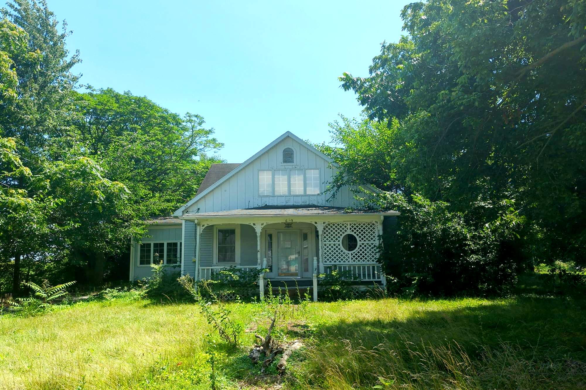 Main image