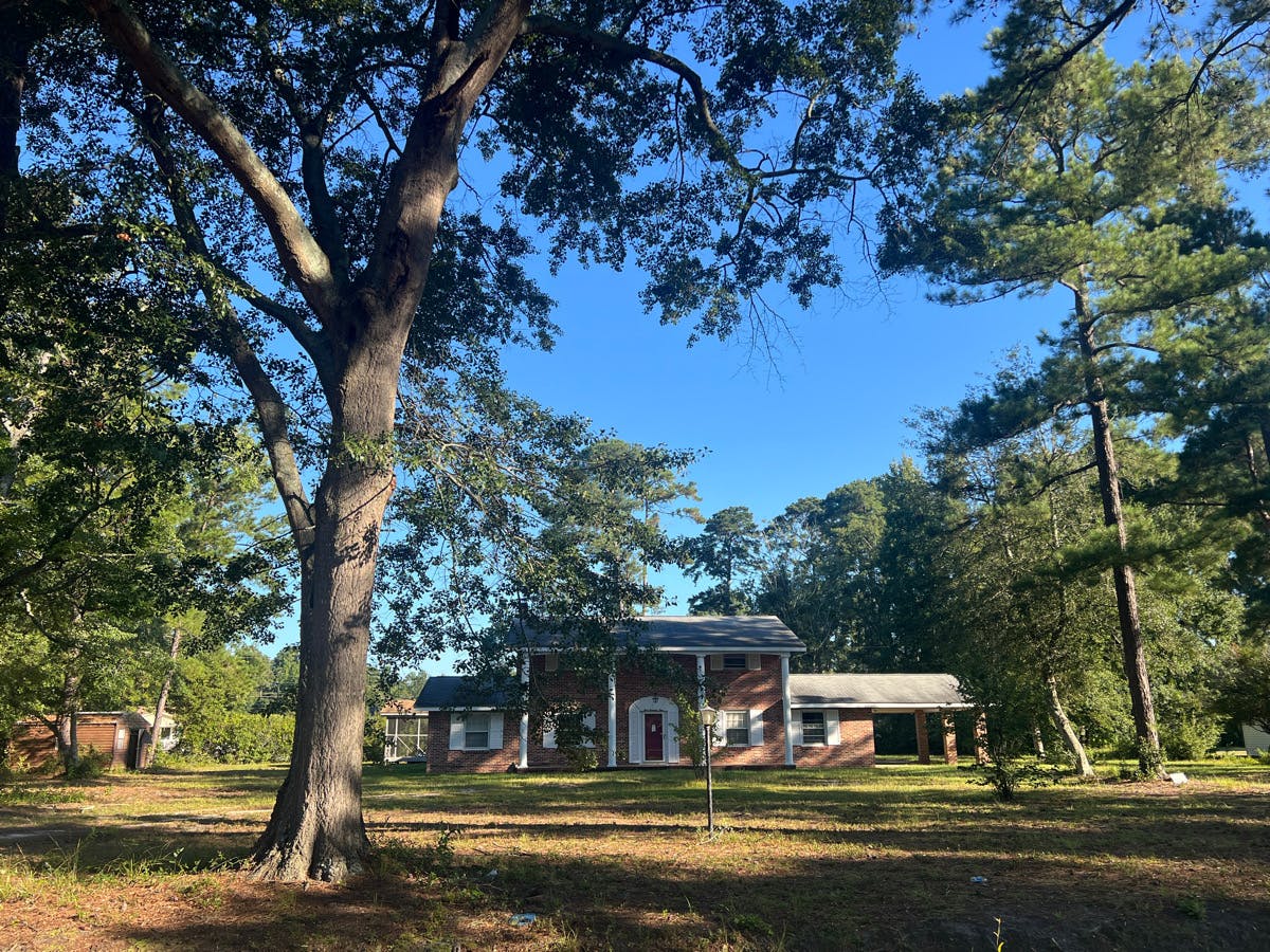 Main image