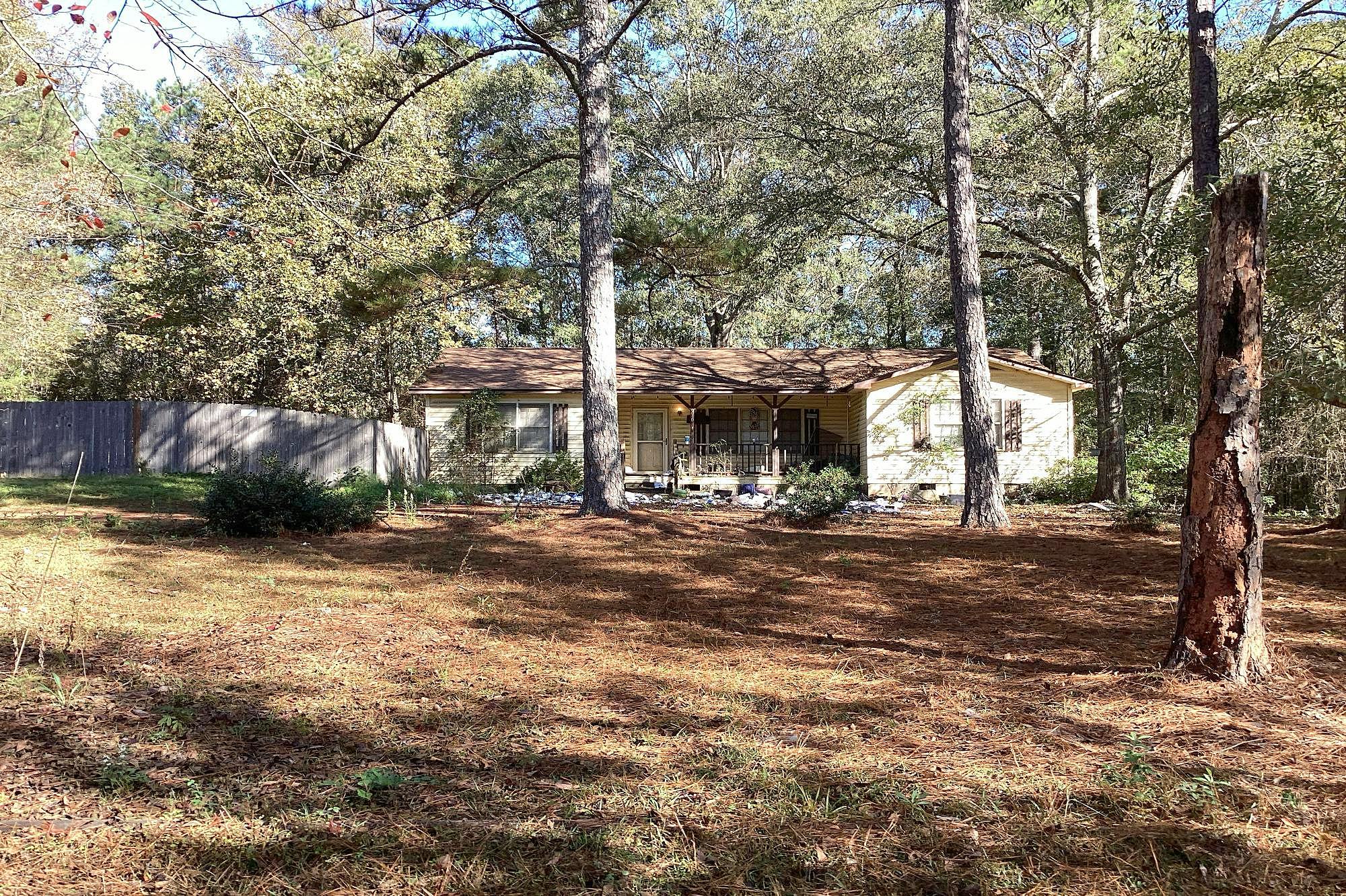 Main image
