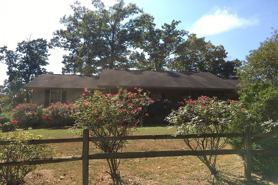 Main image
